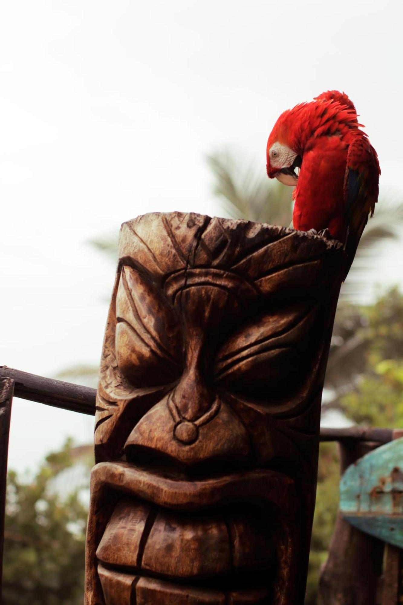 לוס נרנחוס Finca Barlovento Cabana, Tayrona מראה חיצוני תמונה